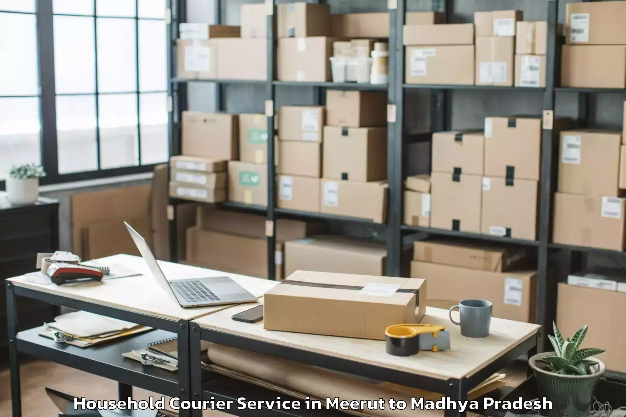 Reliable Meerut to Berasia Household Courier